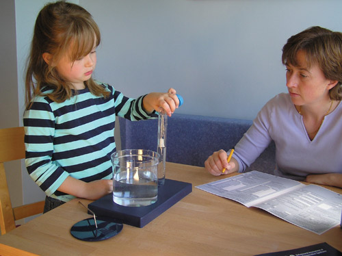 Behavioural Assessment of the Dysexecutive Syndrome in Children (BADS-C)*