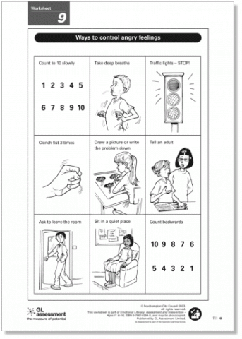 Emotional Literacy: Assessment and Intervention